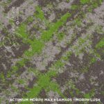 SAMX05 MORPH LUSH MAX - Image 3