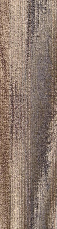 SDCP05 COPPICE BROWN - Image 2