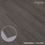CV2-3021 Aspen Ash - Image 3