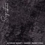 SAMN13 MONET STEEL - Image 2