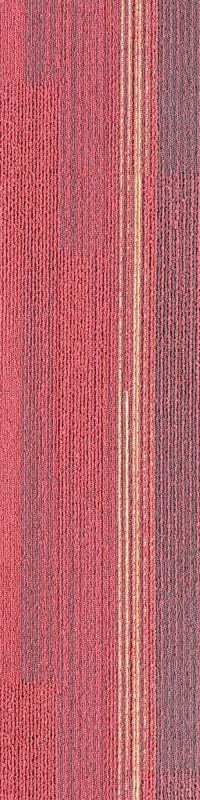 SDLM05-A LUMINO ROSE - Image 2