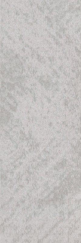 SIFZ01 FRITZ DOVE - Image 2