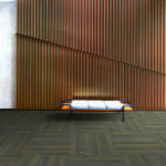 SDCP05 COPPICE BROWN