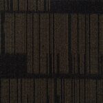 R1004 BROWN NUCLEUS - Image 2