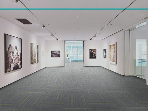 SISF02 STARFALL GREY