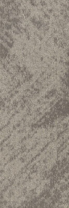 SIFZ03 FRITZ COCOA - Image 2