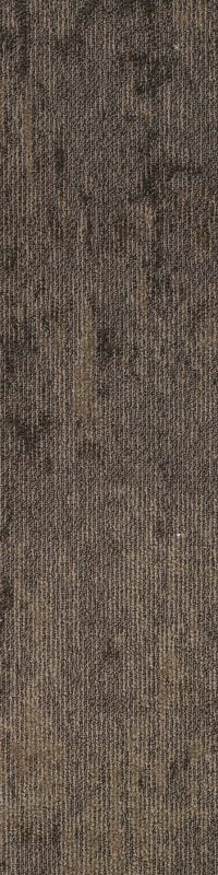 SAPB04 PABLO BROWN - Image 2