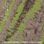 SAWH03 WARHOL GREEN - Image 3