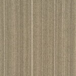 SHDH03 DASH BEIGE - Image 2
