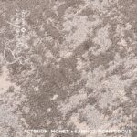 SAMN02 MONET DOVE - Image 3