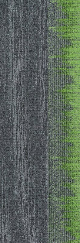 SIAR05 AURORIA GREY GREEN - Image 2