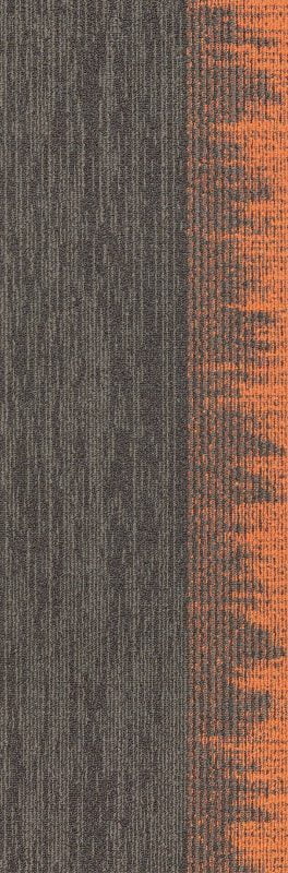 SIAR03 AURORIA BROWN ZEST - Image 2