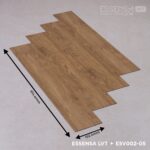 ESV002-05 Buckeye - Image 2
