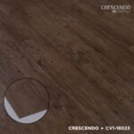 CV1-18023 Redwood Coast - Image 3