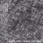 SAMN16 MONET GREY - Image 2
