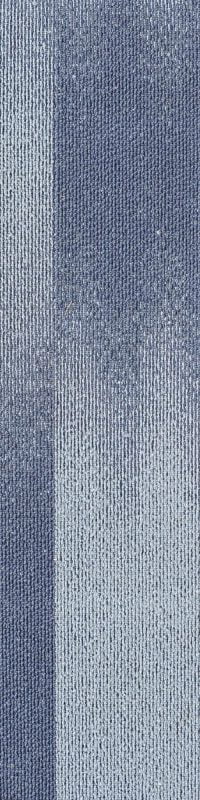 SHCV01-A CIVIC BLUE BASE - Image 2