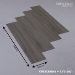 CV2-3021 Aspen Ash - Image 2