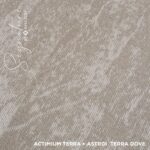 SATR01 TERRA DOVE - Image 3