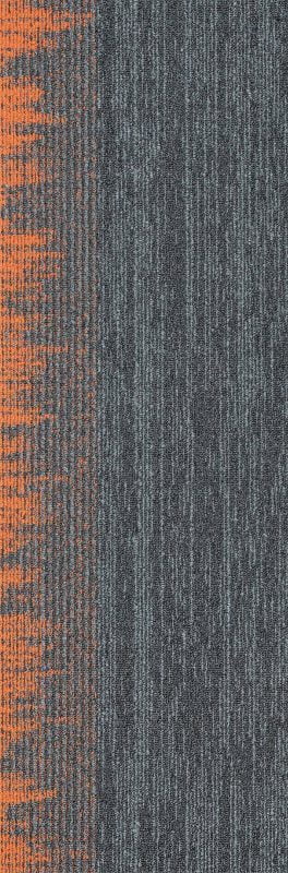 SIAR06 AURORIA GREY ZEST - Image 2