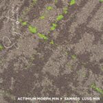 SAMN05 MORPH LUSH MIN - Image 2