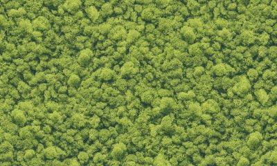 AURORA 4013-1 - Image 2