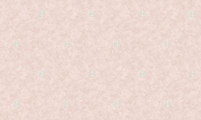 GNI PRIMO 81818-2 - Image 2