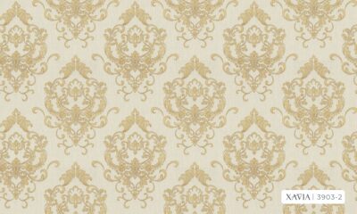 XAVIA 3903-2 - Image 2