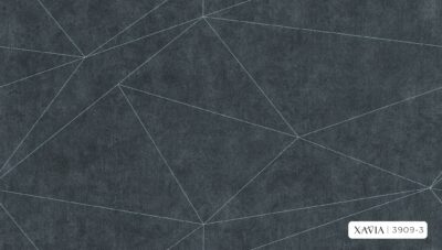 XAVIA 3909-3 - Image 2