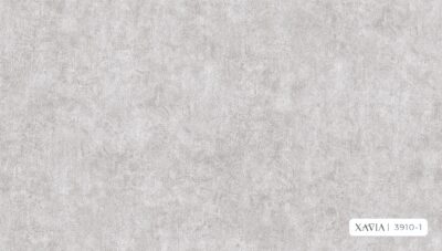 XAVIA 3910-1 - Image 2