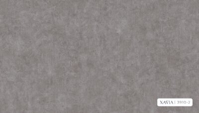 XAVIA 3910-2 - Image 2