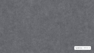 XAVIA 3910-3 - Image 2