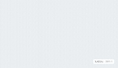 XAVIA 3911-1 - Image 2