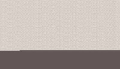 XAVIA 3911-3 - Image 2