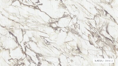 XAVIA 3918-2 - Image 2