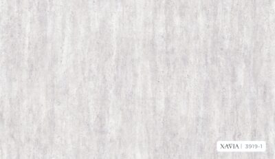 XAVIA 3919-1 - Image 2