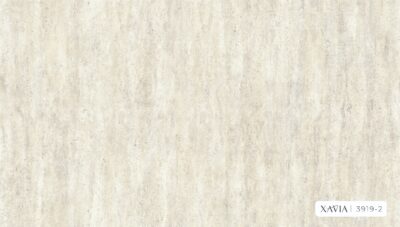 XAVIA 3919-2 - Image 2