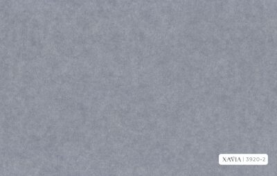 XAVIA 3920-2 - Image 2