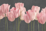MI TULIP 8801-16B - Image 2