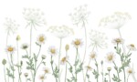 Dreamland -  Field Of Daisies - Image 2