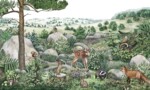 Dreamland -  Happy Hills - Image 3