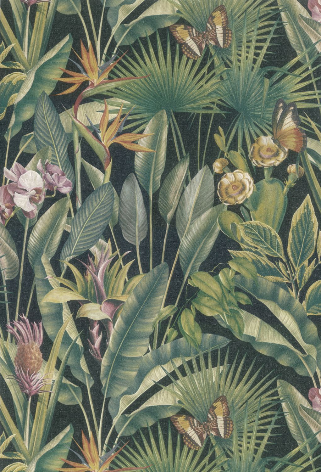 TAHITI-13334 TAHITI 13334 - Image 1