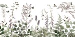 Tropical -  Hummingbird Hedge - Image 2